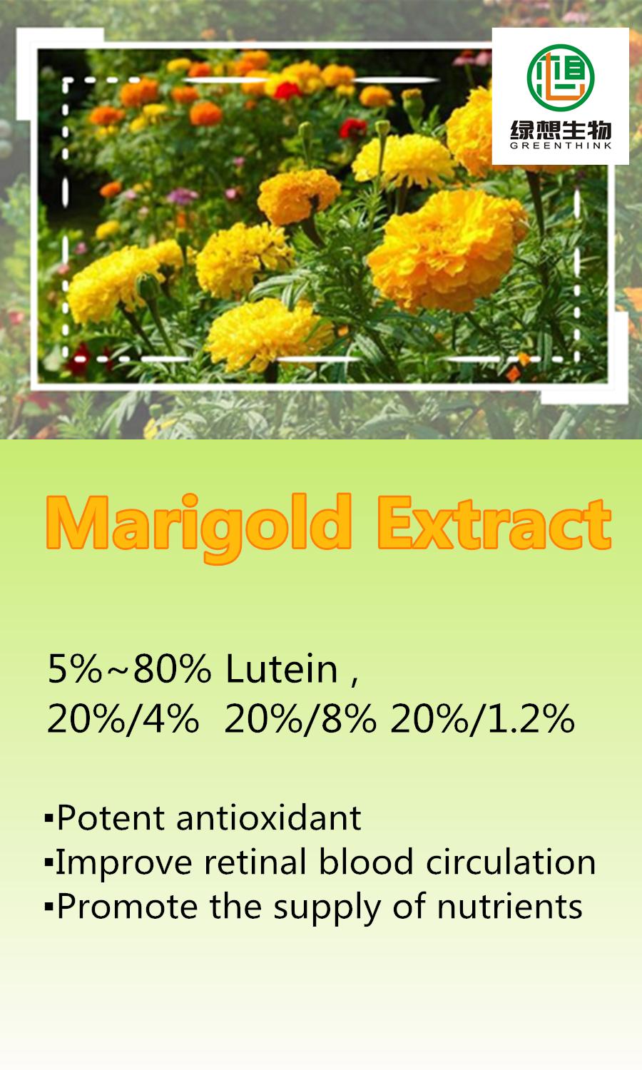 Marigold Extract