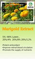 Marigold Extract 1