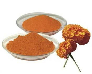 Marigold Extract 2