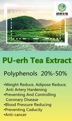 PU-erh Tea Extract