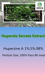 Huperzia Serrata Extract