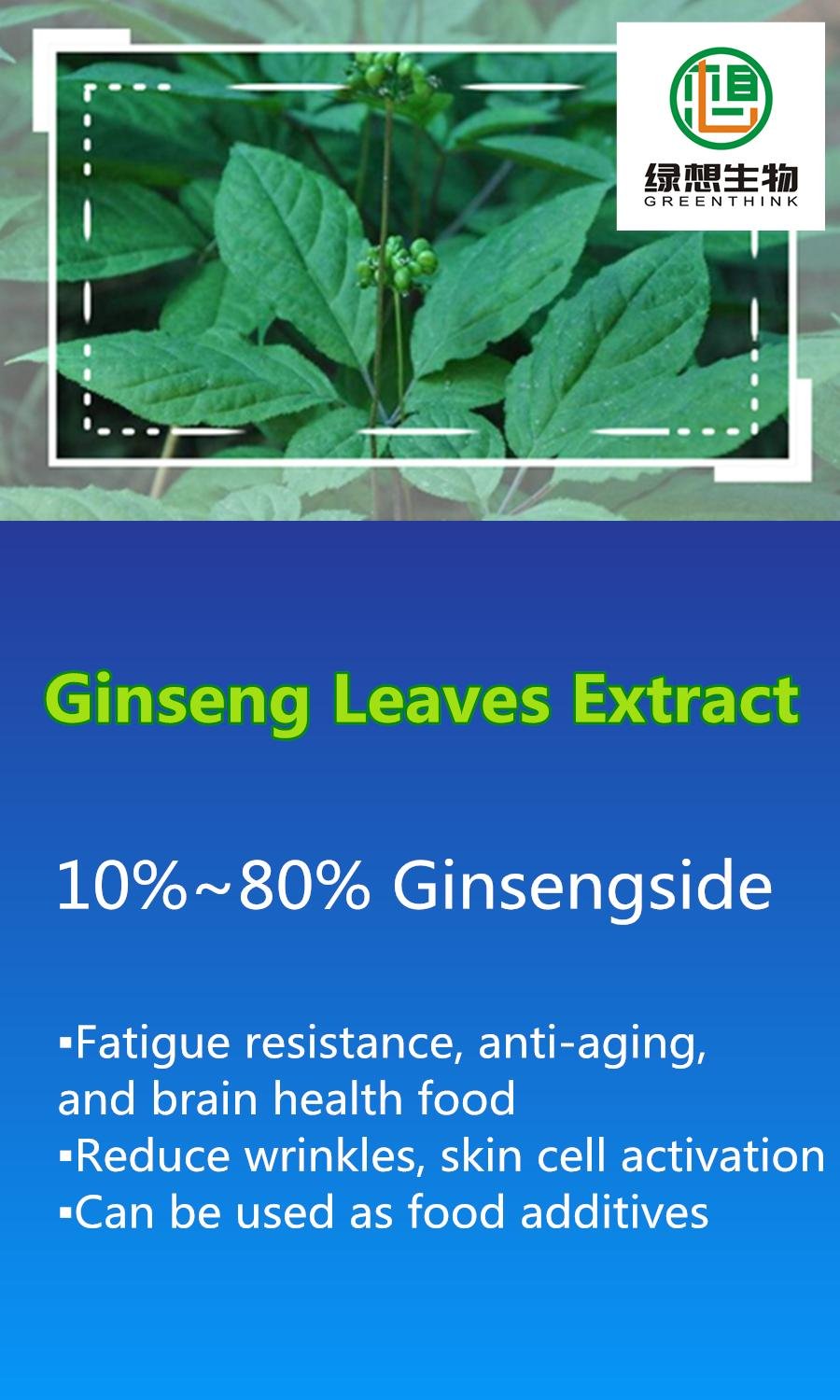 Ginseng Leaves Extract 