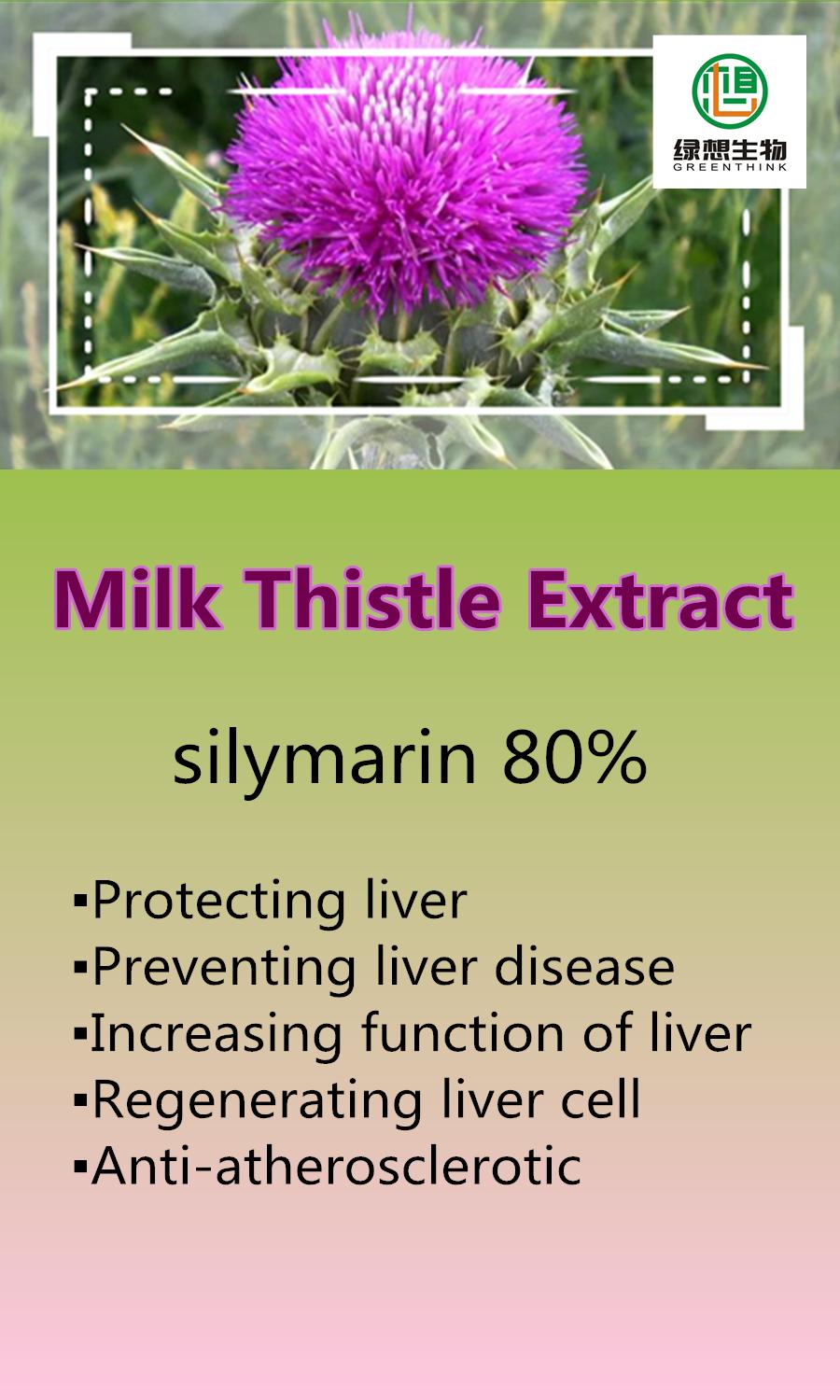 Milk Thistle Extract GS415 Green Think (China Manufacturer) Plant