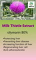 Milk Thistle Extract 1