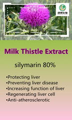 Milk Thistle Extract