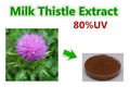 Milk Thistle Extract 2