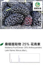 Mulberry Extract