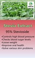 Stevia Extract 1