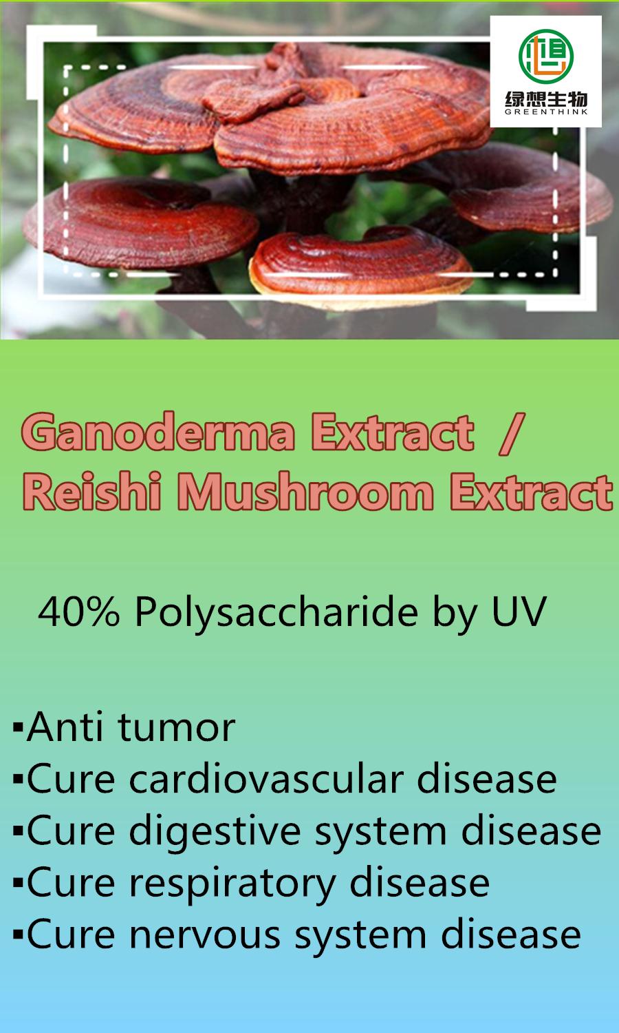 Reishi Mushroom Extract GS123 Green Think (China Manufacturer