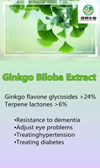 Ginkgo Biloba Extract