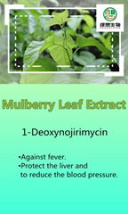 Mulberry Leaf Extract