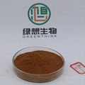 Mulberry Leaf Extract 2