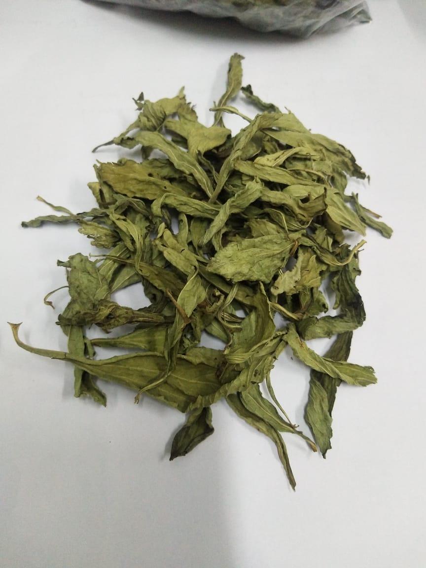 stevia dry leaves extract powder SDL 001 Natural (India Trading