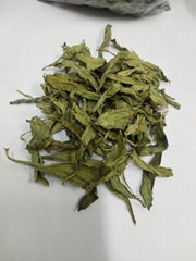 stevia dry leaves extract powder