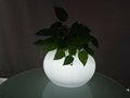 Infrared remote control lighting display flower pots
