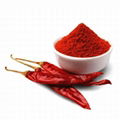 Chilli Powder 2