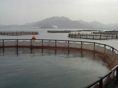 High Quality Floating Fish Cage For Deep Sea Fish Farming