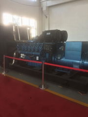 diesel generator set