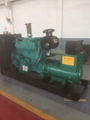 diesel generator set 1