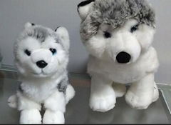 Stuffed animals husky plush stuffing with PP cotton 30cm&20cm