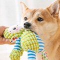 Squeaky Toys for Dogs,Chewing Toy for