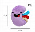 Happy organ plush 2-Sided Kidney Plush Pillow Plush Organ Toy Stuffed kidney toy 1