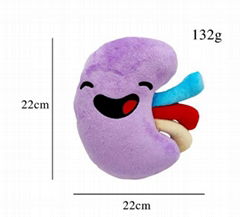 Happy organ plush 2-Sided Kidney Plush Pillow Plush Organ Toy Stuffed kidney toy