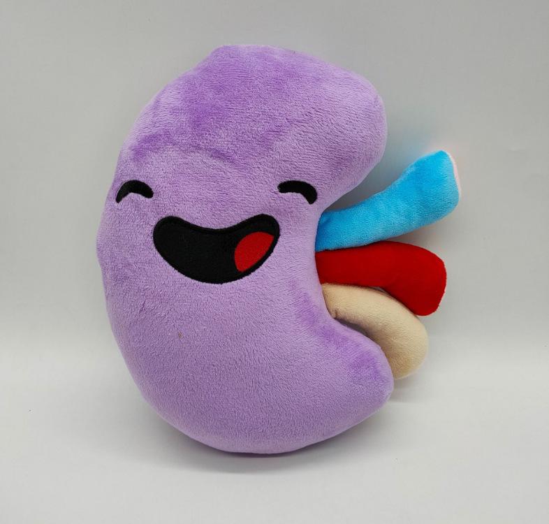 Happy organ plush 2Sided Kidney Plush Pillow Plush Organ Toy Stuffed