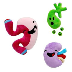 Happy organ plush body organs plush organ stuffed toy human Organ Toys