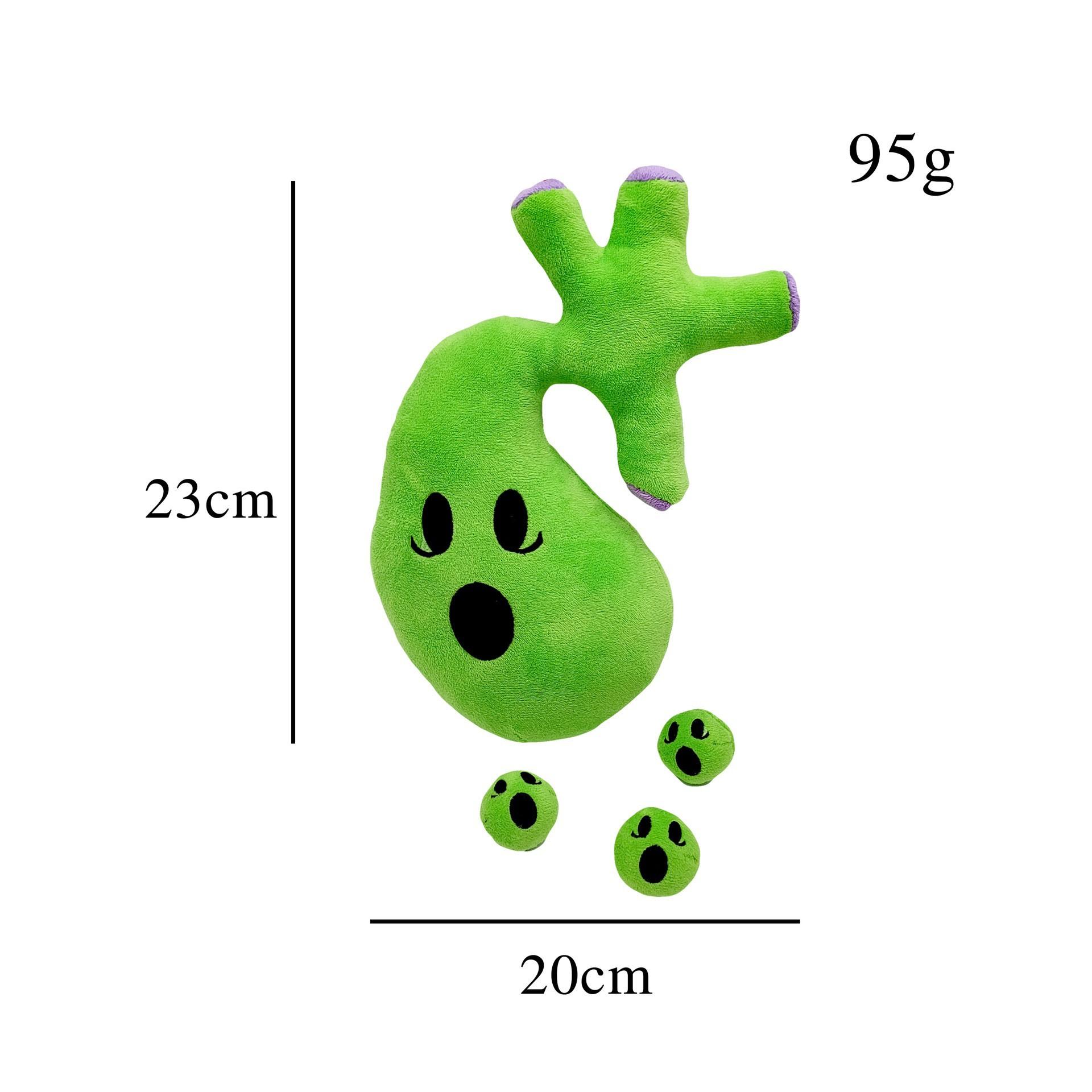 Happy organ plush body organs plush organ stuffed toy human Organ Toys