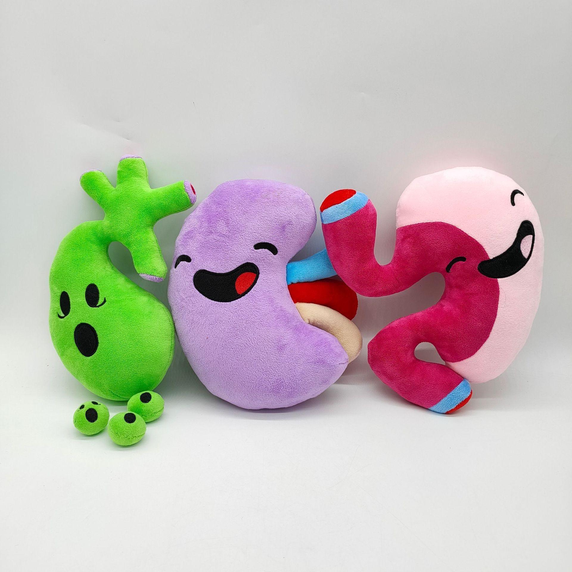 Happy organ plush body organs plush organ stuffed toy human Organ Toys