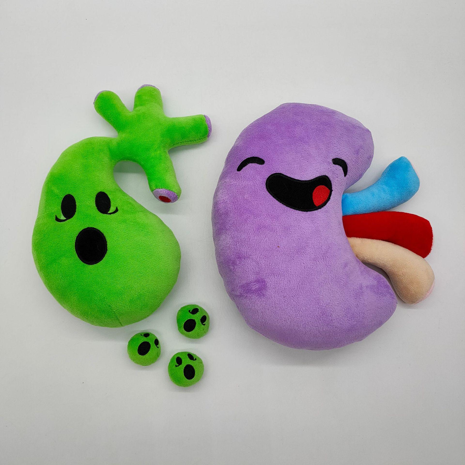 Happy organ plush body organs plush organ stuffed toy human Organ Toys