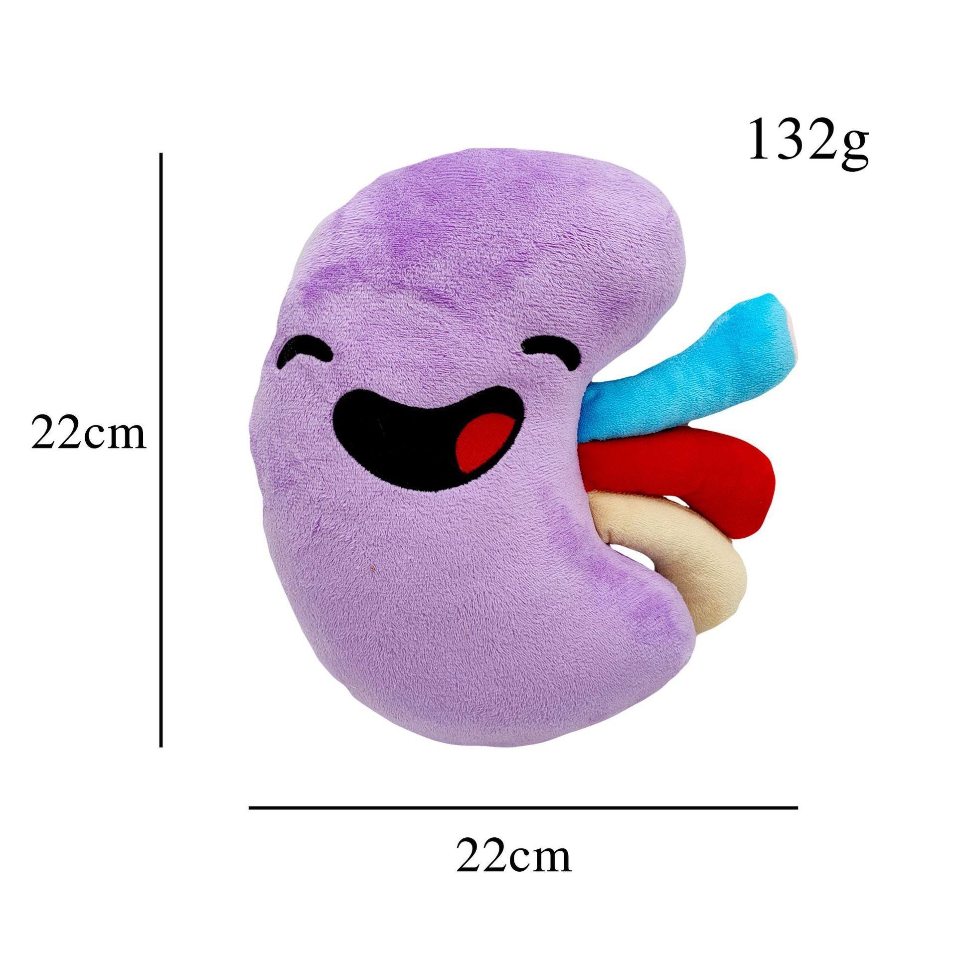 Happy organ plush body organs plush organ stuffed toy human Organ Toys