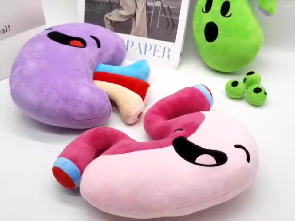 Happy organ plush body organs plush organ stuffed toy human Organ Toys