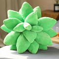 Super soft  succulent pillows cactus pillow plush plants pillow garna pillow