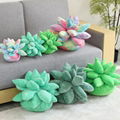 Super soft  succulent pillows cactus pillow plush plants pillow garna pillow