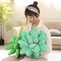 Super soft  succulent pillows cactus pillow plush plants pillow garna pillow