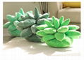 Super soft  succulent pillows cactus pillow plush plants pillow garna pillow