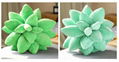 Super soft  succulent pillows cactus pillow plush plants pillow garna pillow