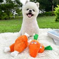 Pet Plush Vocal Toys Pet Squeaky plush toys Plush Bone Dog Toy Carrot Plushies