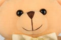 Cute plush bear kids night light with touch sensor LED night light plush toy 