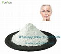 collagen protein powder wholesale pure