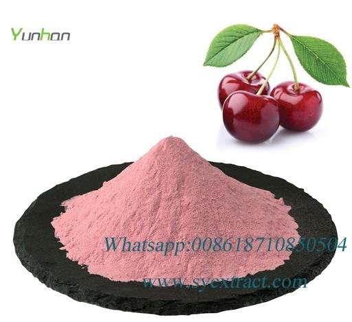 acerola cherry extract vitamin c powder