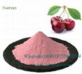 acerola cherry extract vitamin c powder 1