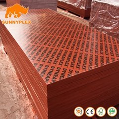 18mm 4*8 Film Faced Plywood Film Faced Shtttering Plywood for Concrete Formwork