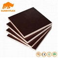 Black Film Shuttering Formwork Concrete Plywood 1