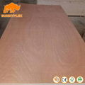 18mm1220*2440 Commercial Okoume Plywood