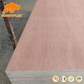 15mm 4*8 Commercial Bintangor Plywood Packing Plywood 3