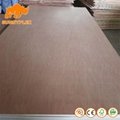 15mm 4*8 Commercial Bintangor Plywood Packing Plywood 2
