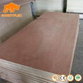 15mm 4*8 Commercial Bintangor Plywood